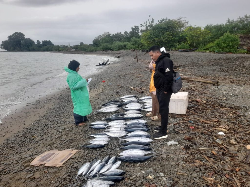 Monitoring Nelayan di Negeri Bemo